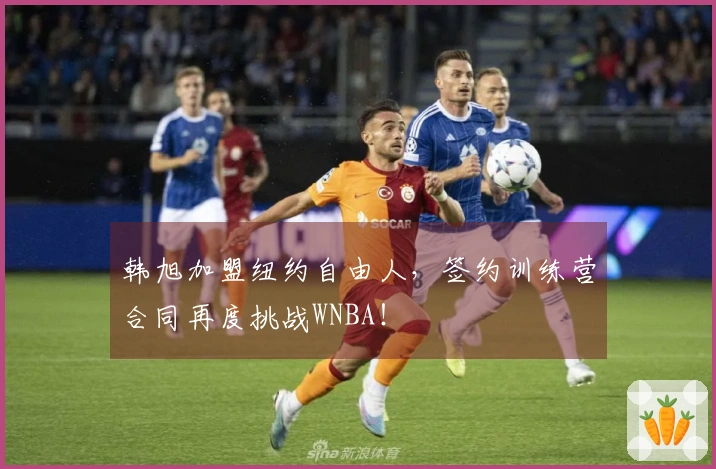 韩旭加盟纽约自由人，签约训练营合同再度挑战WNBA！